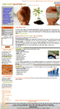 Mobile Screenshot of lcsleads.com